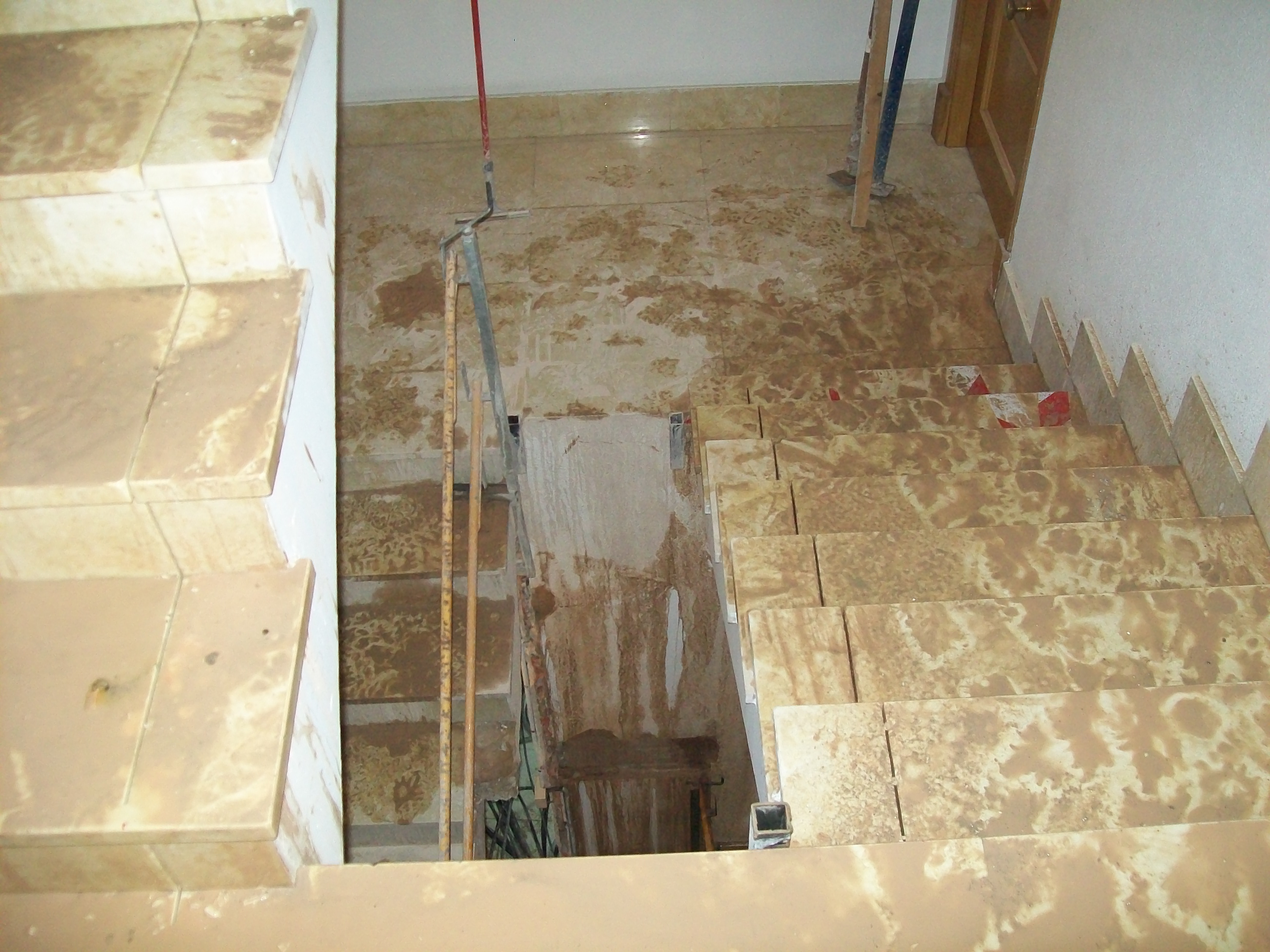 100 3166